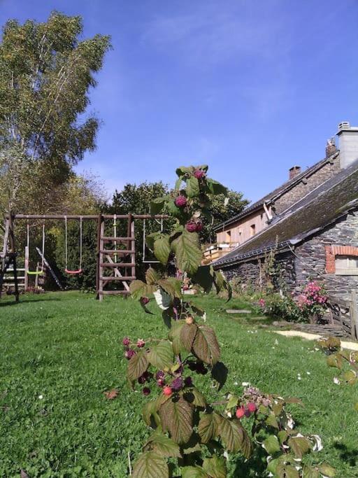 Gite Les 7 Frenes Vaux-sur-Sure 外观 照片